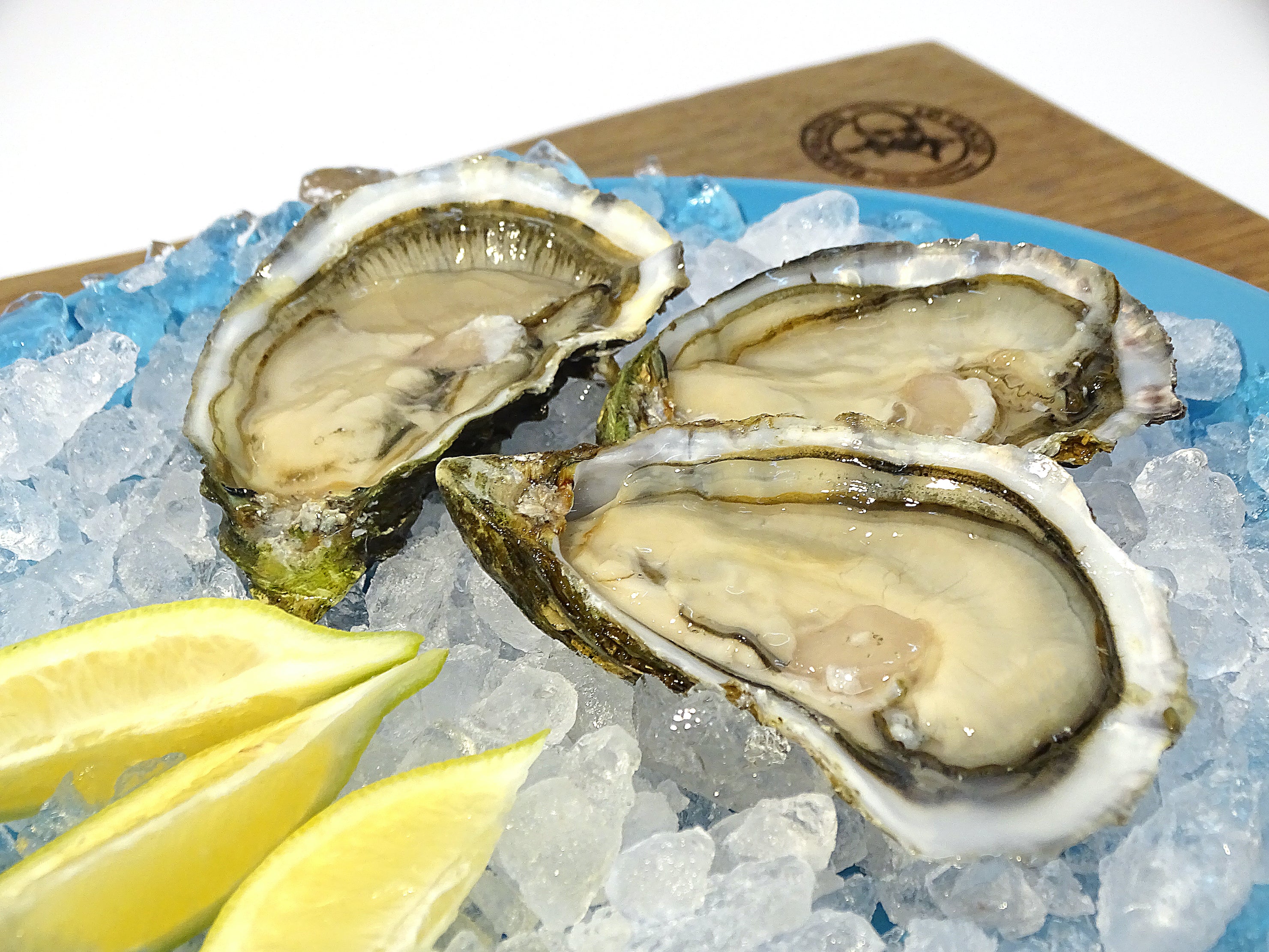 Oysters