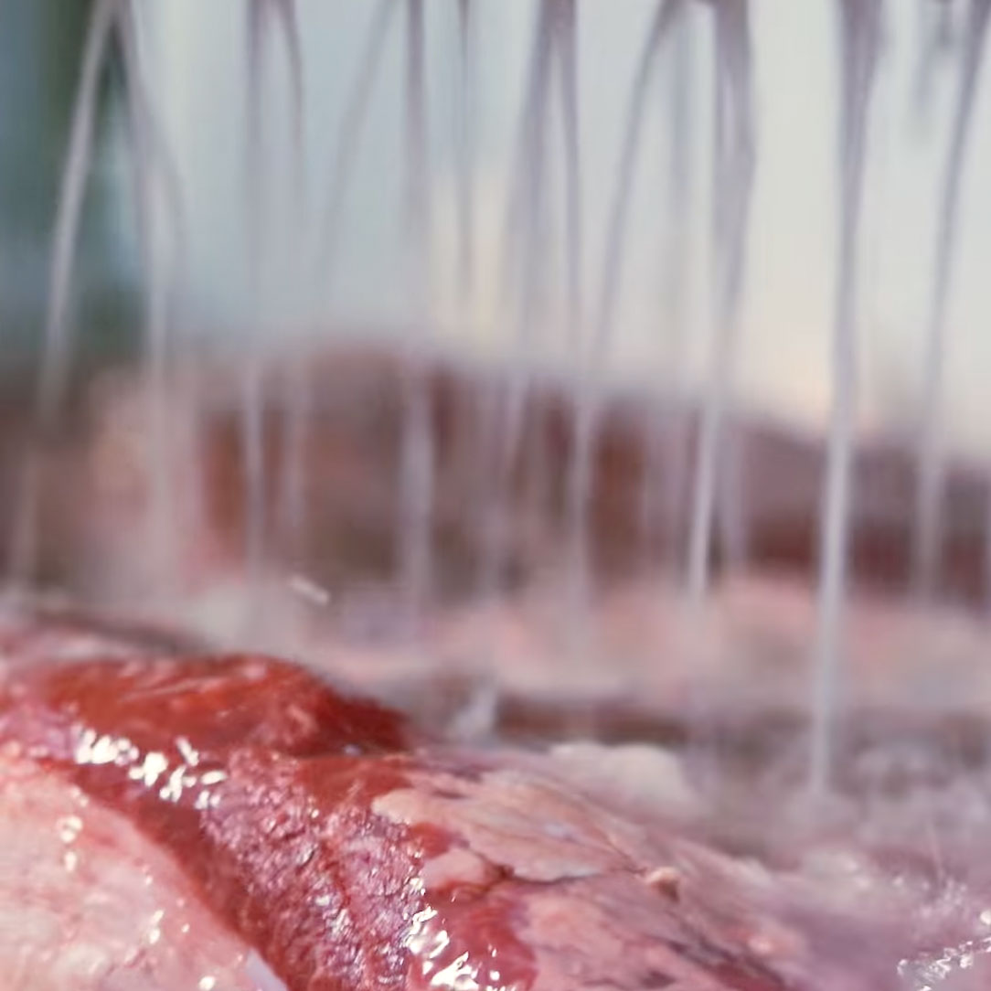 Texas Brisket Blue Ox Prime