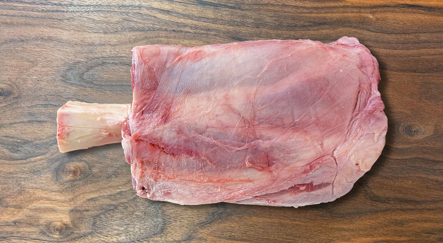 Hammer Steak Irlanda EmeraldGreen Crossbreed