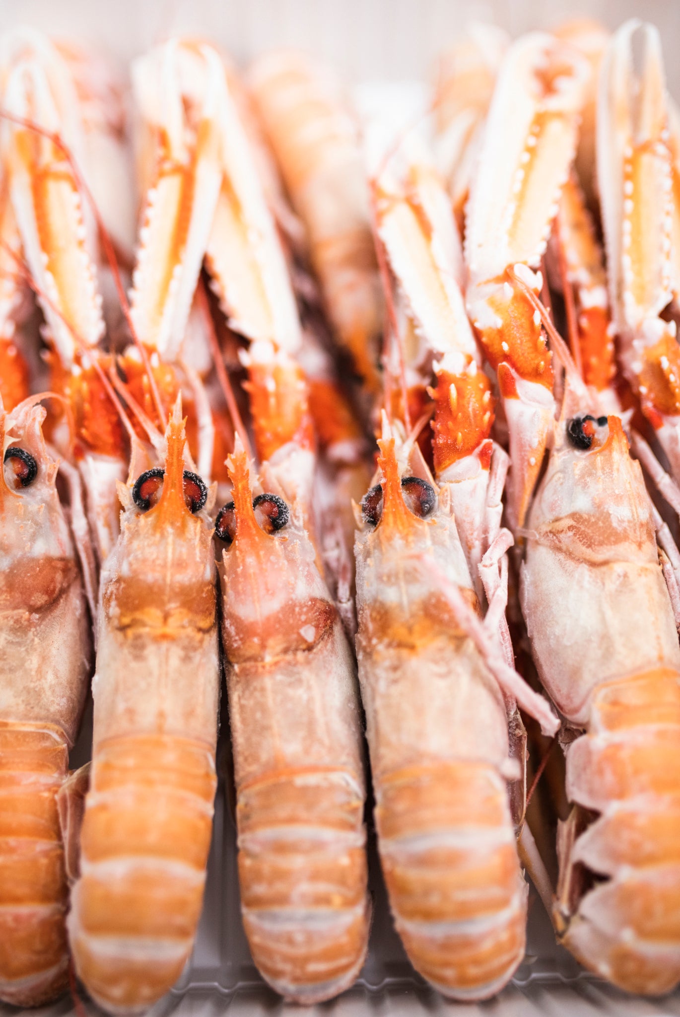 Scampo Sicilia GLC Top Selection (1Kg)