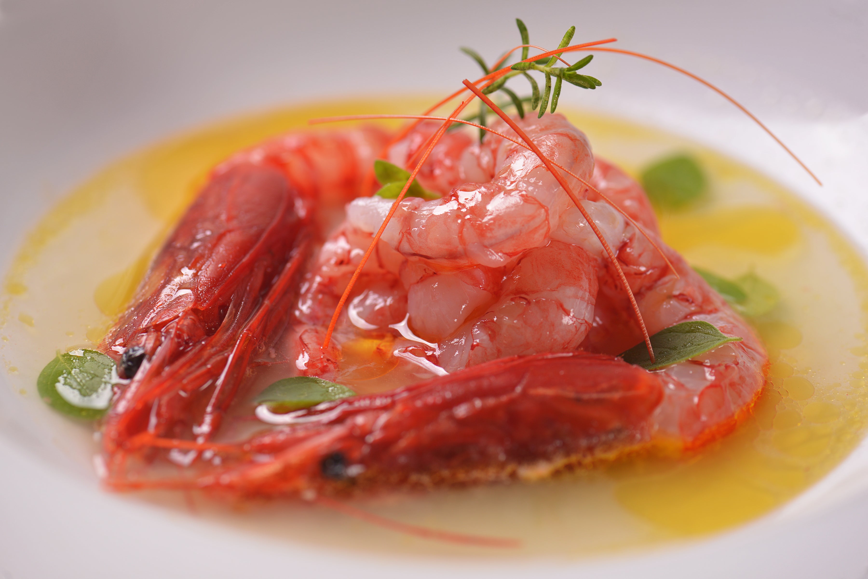 Tartare di Gambero Rosso di Mazara GLC Top Selection