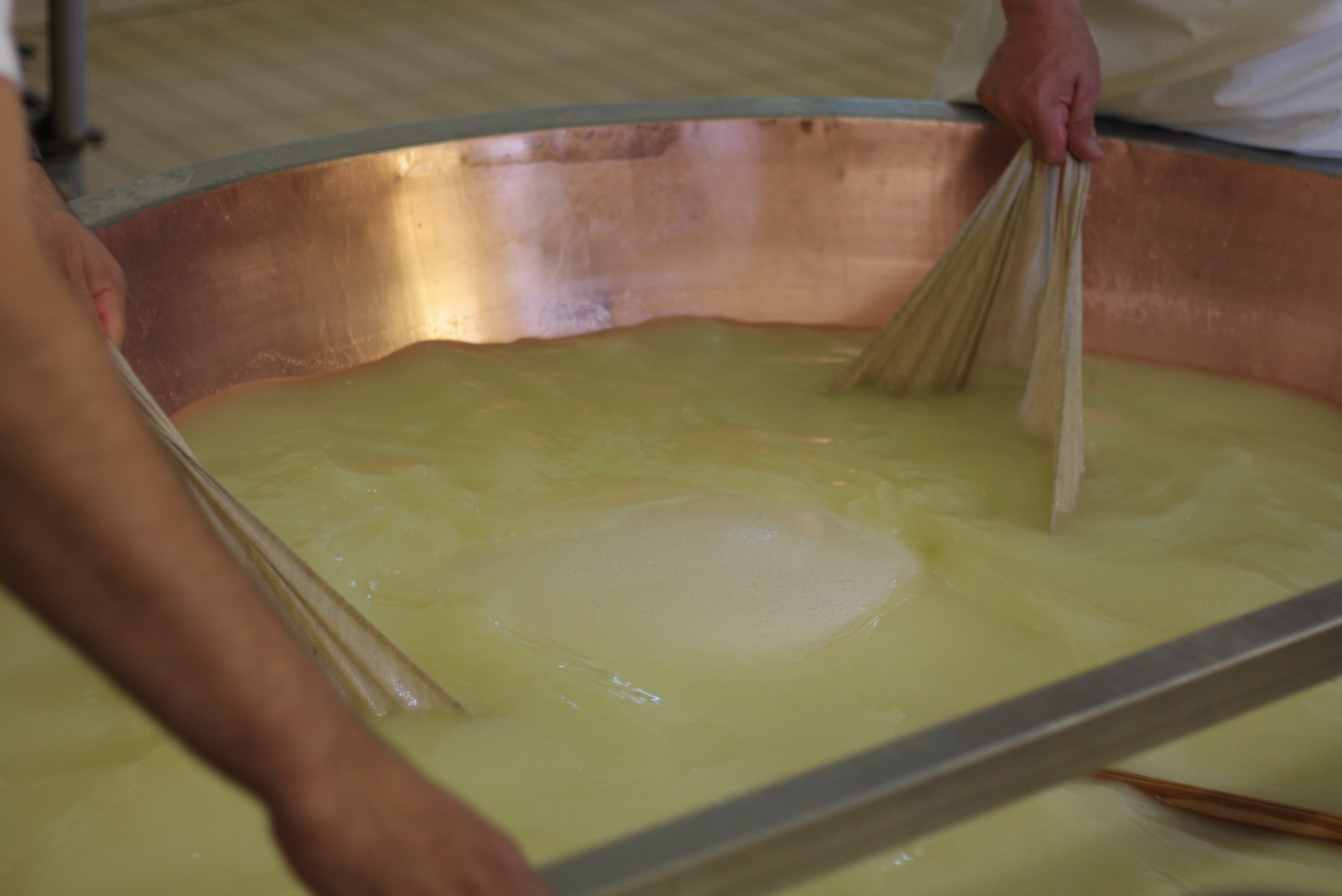 Parmigiano Reggiano RISERVA SPECIALE GLC versione 72 mesi (primo taglio del foraggio di primavera 2015)