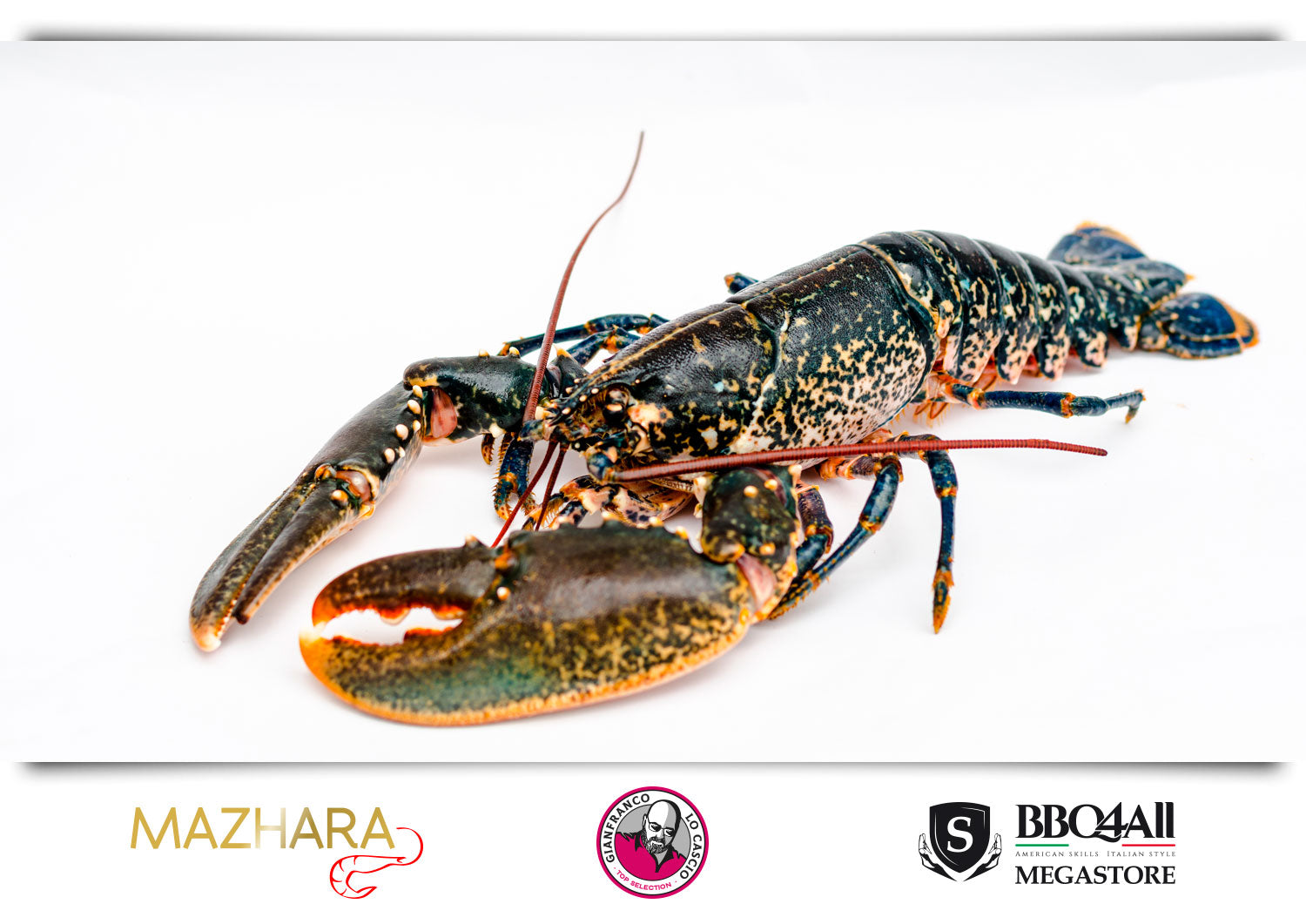 Astice Mediterraneo Mazhara GLC Top Selection