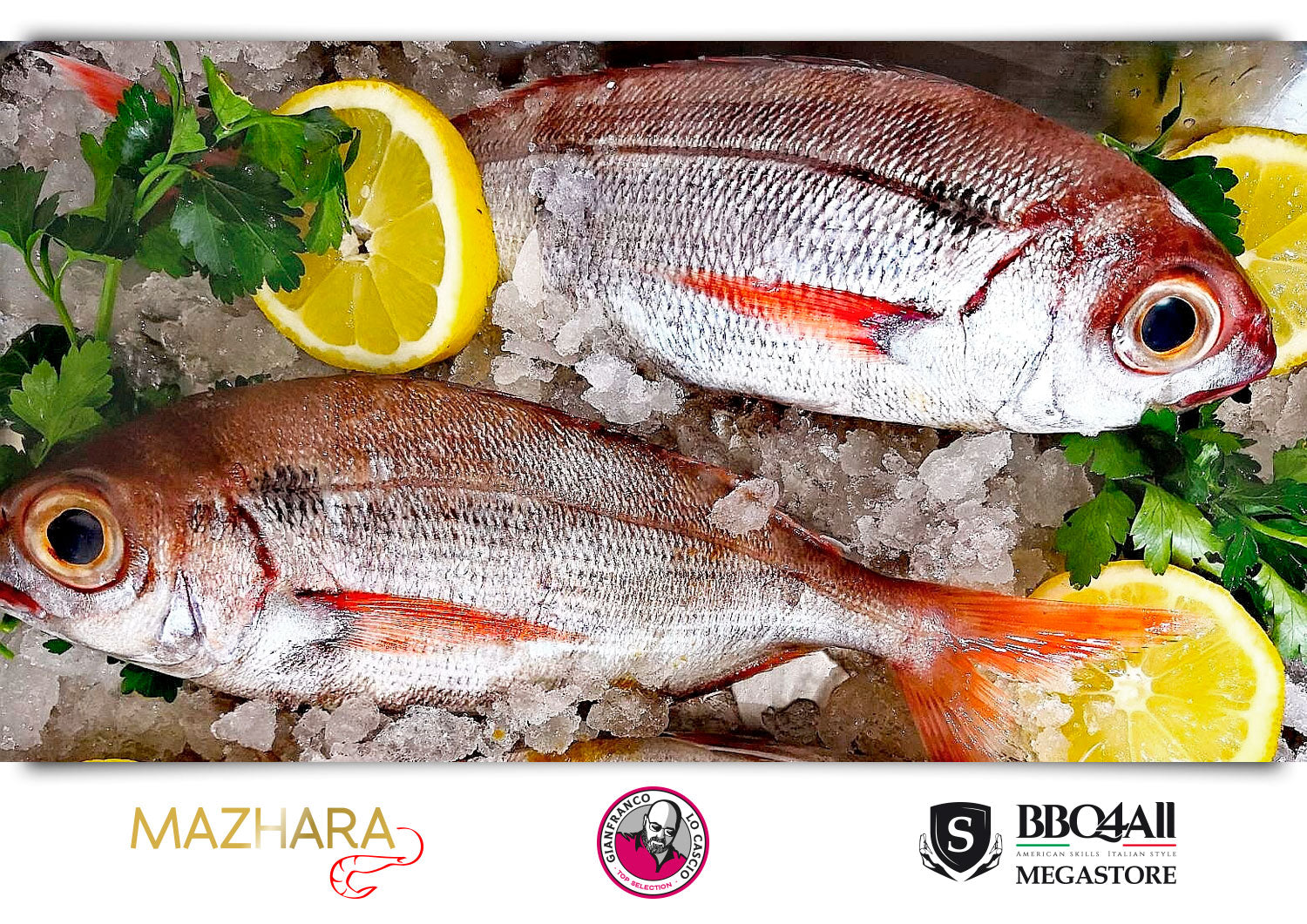 Pezzogna pescata rete Sicilia Mazara del Vallo